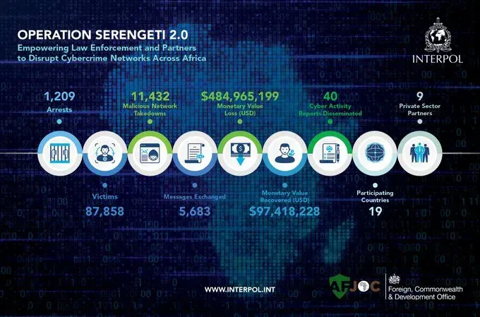 Operation Serengeti 2.0: INTERPOL's Historic Cybercrime Crackdown Across Africa